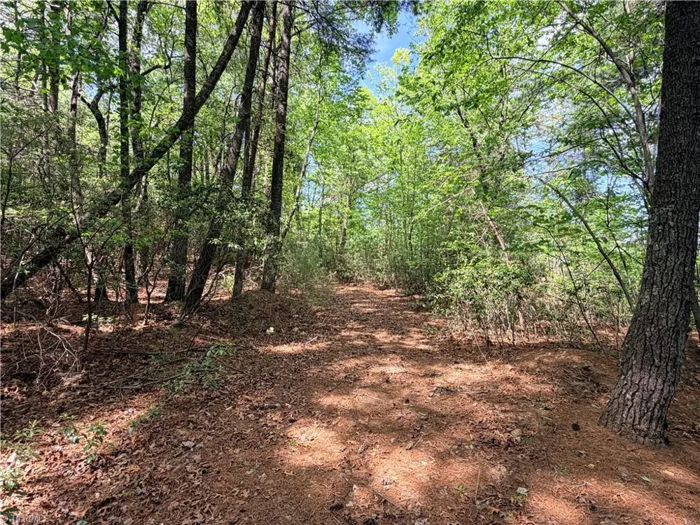 Lots 51 & 52A Staghorn Road Purlear, NC 28665