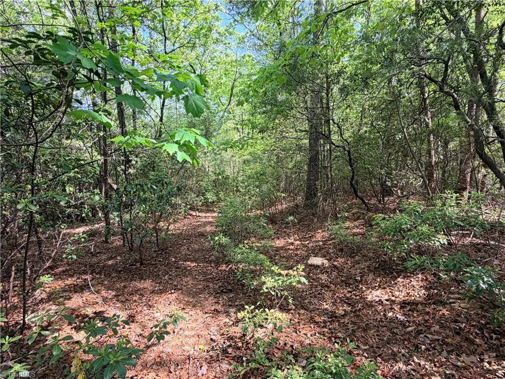 Lots 51 & 52A Staghorn Road Purlear, NC 28665