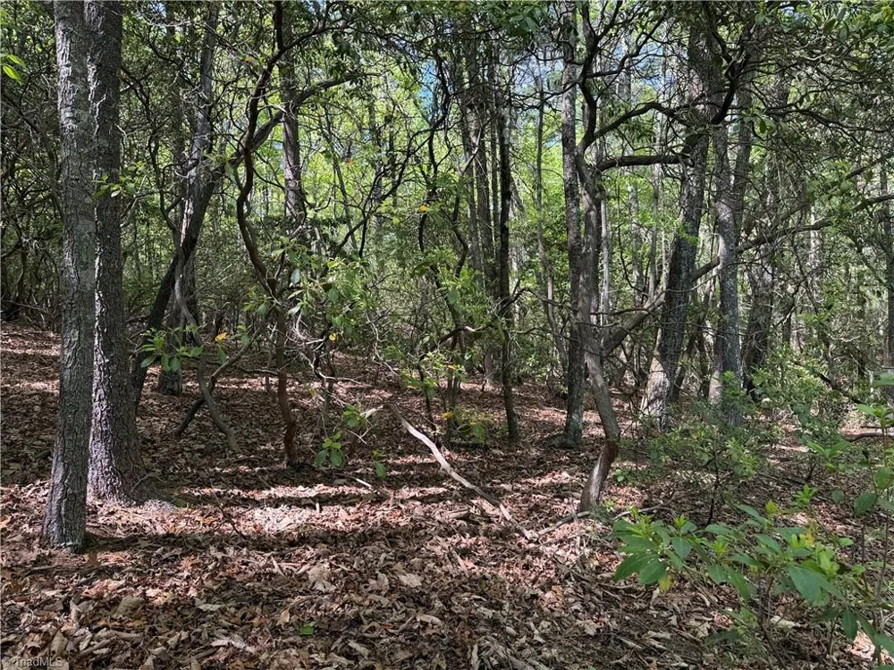 Lots 51 & 52A Staghorn Road Purlear, NC 28665