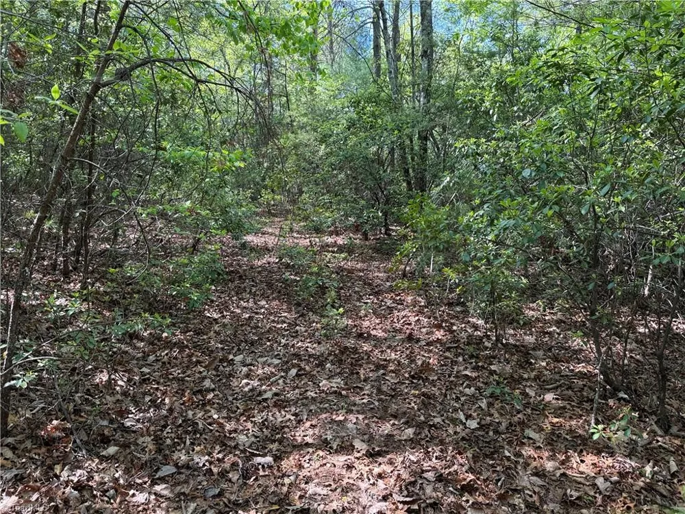 Lots 51 & 52A Staghorn Road Purlear, NC 28665