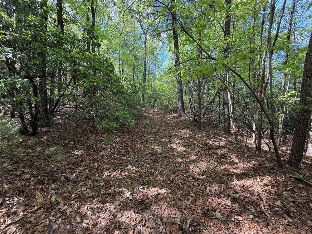 Lots 51 & 52A Staghorn Road Purlear, NC 28665