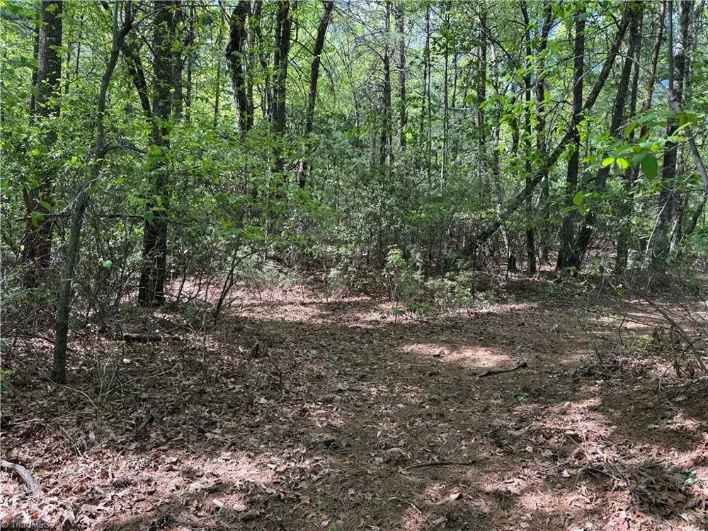 Lots 51 & 52A Staghorn Road Purlear, NC 28665