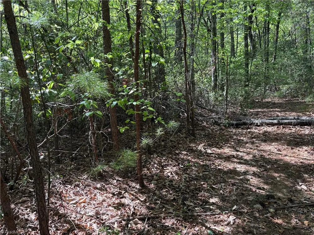 Lots 51 & 52A Staghorn Road Purlear, NC 28665