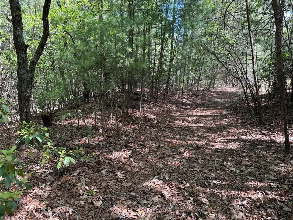 Lots 51 & 52A Staghorn Road Purlear, NC 28665
