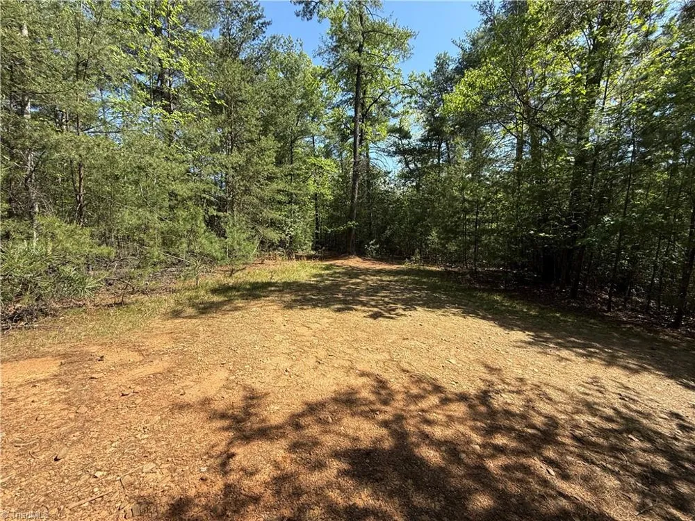 Lots 51 & 52A Staghorn Road Purlear, NC 28665