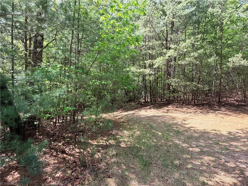 Lots 51 & 52A Staghorn Road Purlear, NC 28665