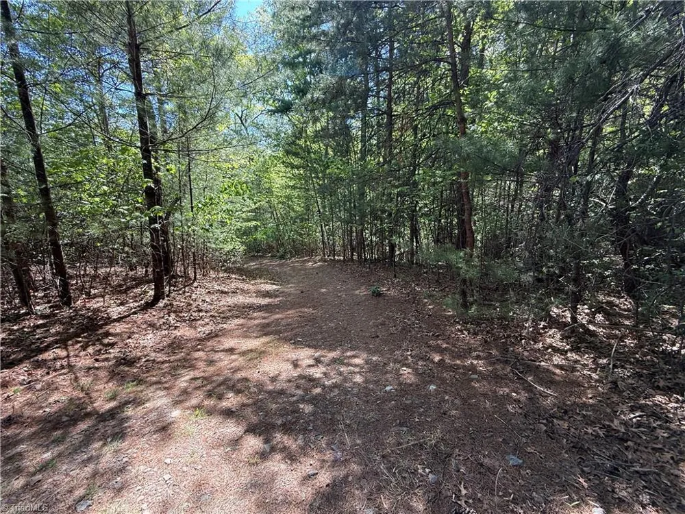 Lots 51 & 52A Staghorn Road Purlear, NC 28665
