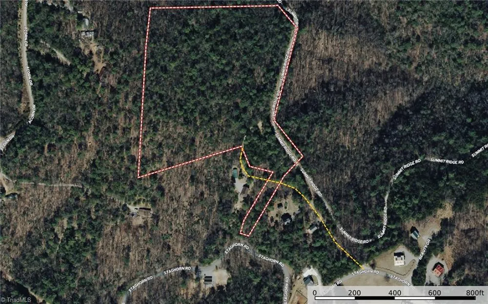 Lots 51 & 52A Staghorn Road Purlear, NC 28665