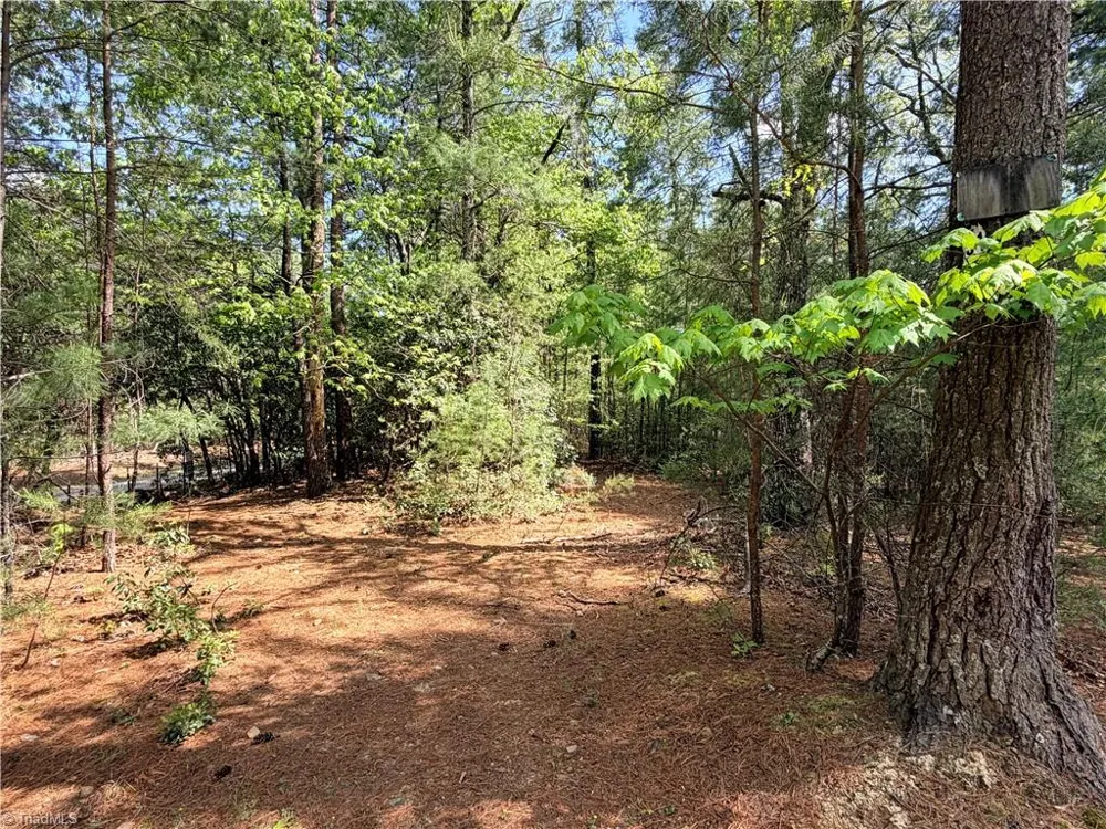 Lots 51 & 52A Staghorn Road Purlear, NC 28665