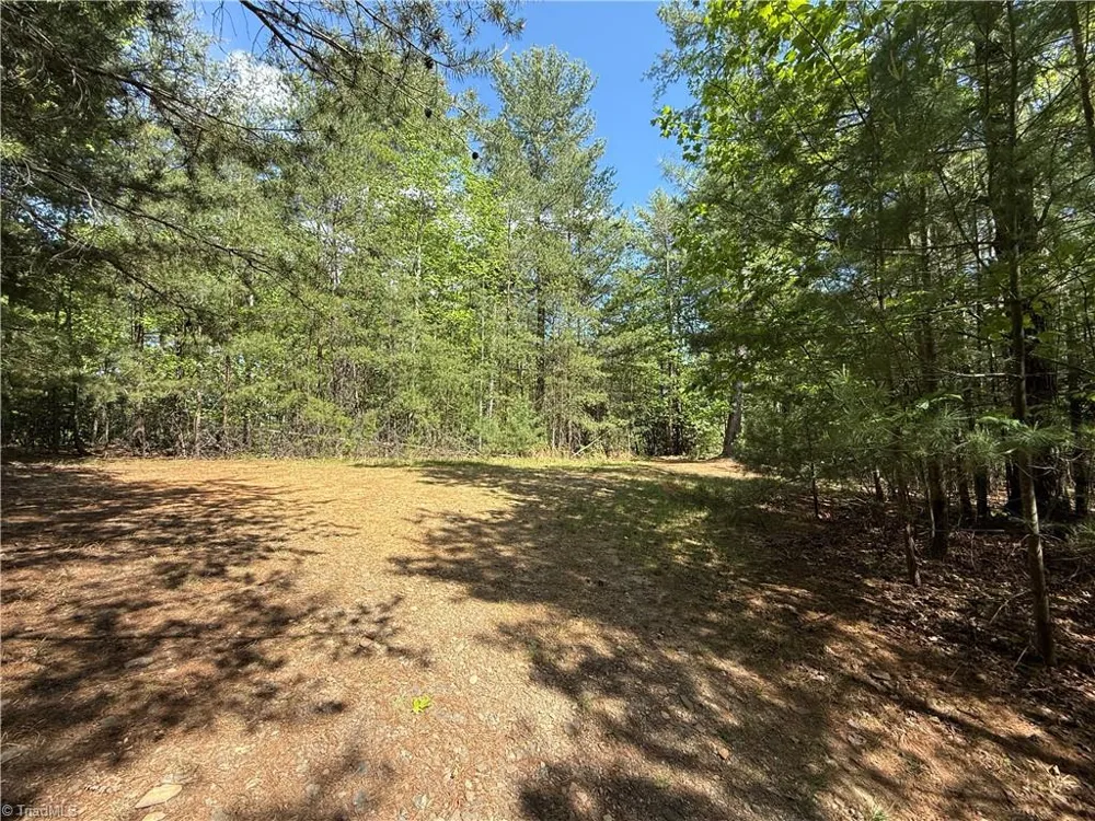Lots 51 & 52A Staghorn Road Purlear, NC 28665