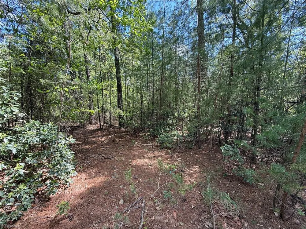 Lots 51 & 52A Staghorn Road Purlear, NC 28665