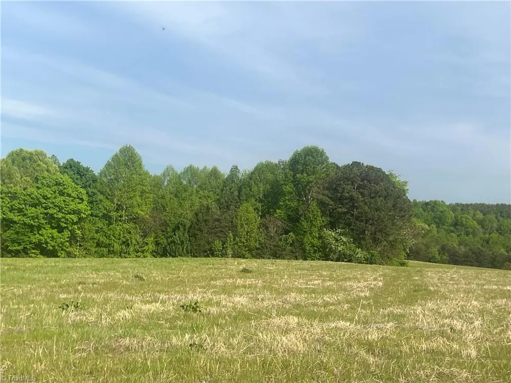 0000 George Chandler Road Mount Airy, NC 27030
