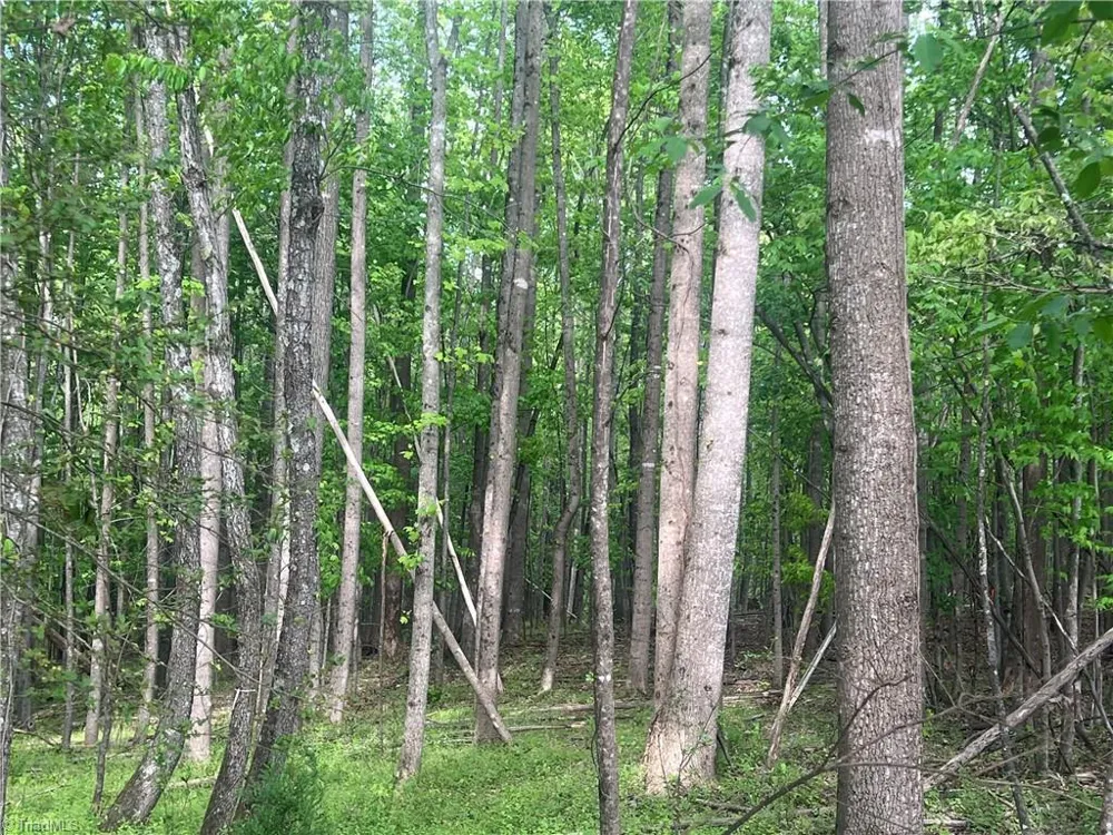0000 George Chandler Road Mount Airy, NC 27030