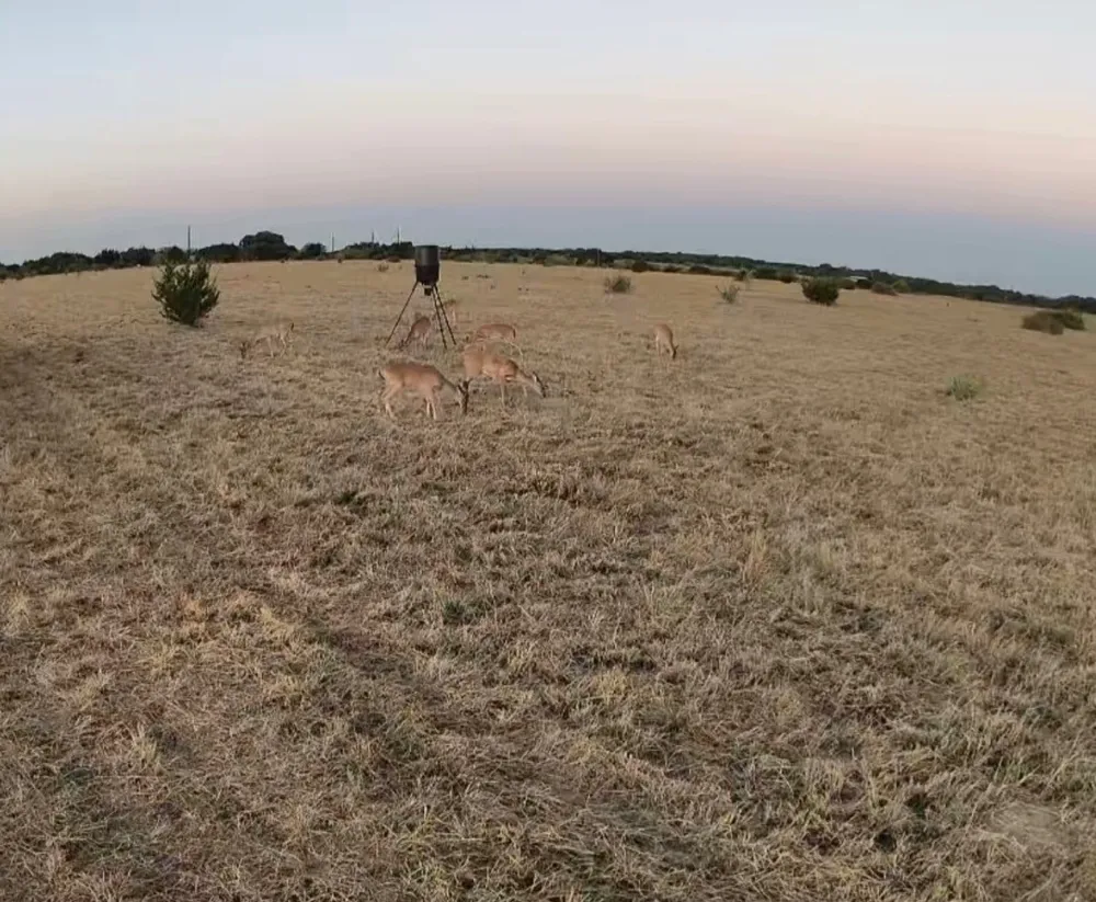 39 CR 330 Goldthwaite, TX 76844