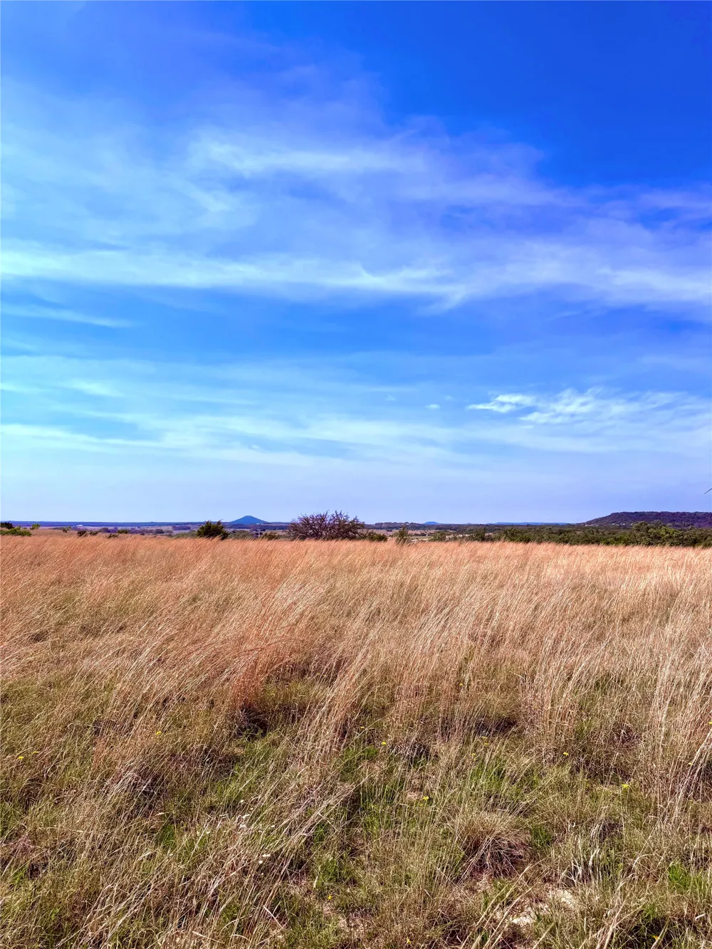 39 CR 330 Goldthwaite, TX 76844