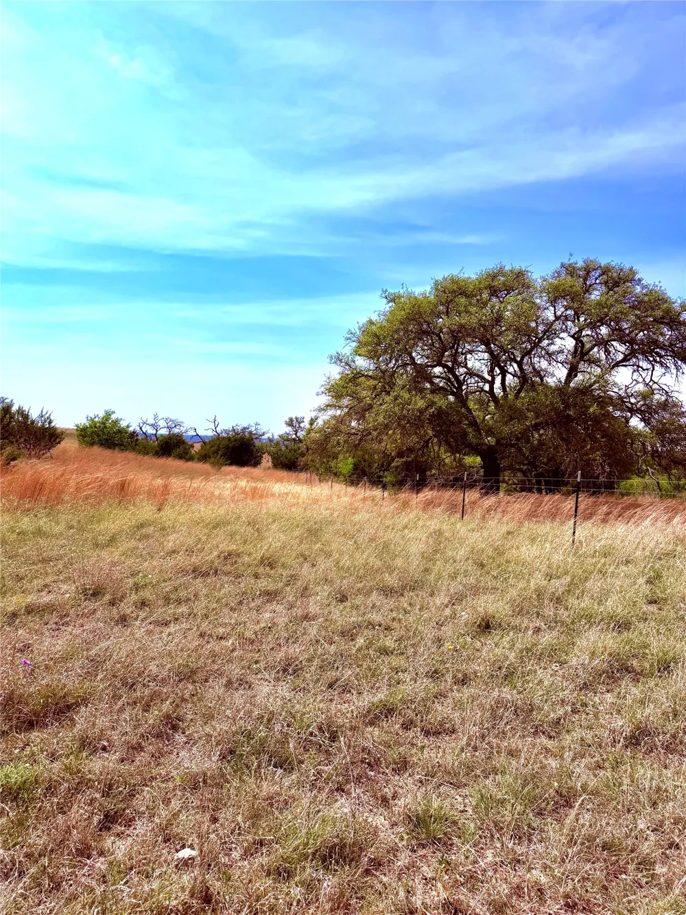 39 CR 330 Goldthwaite, TX 76844