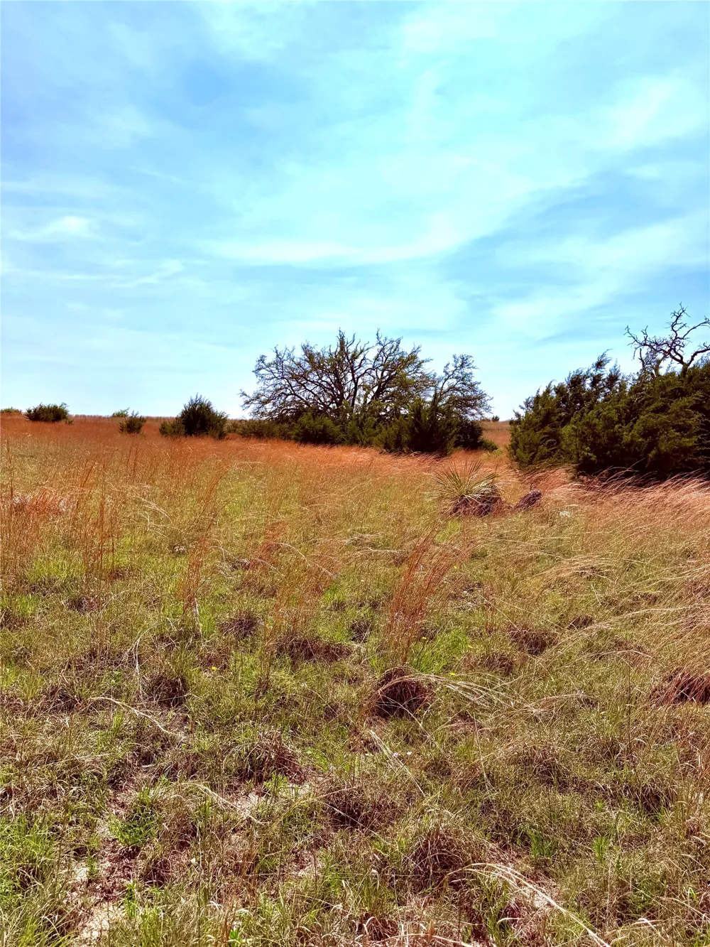 39 CR 330 Goldthwaite, TX 76844