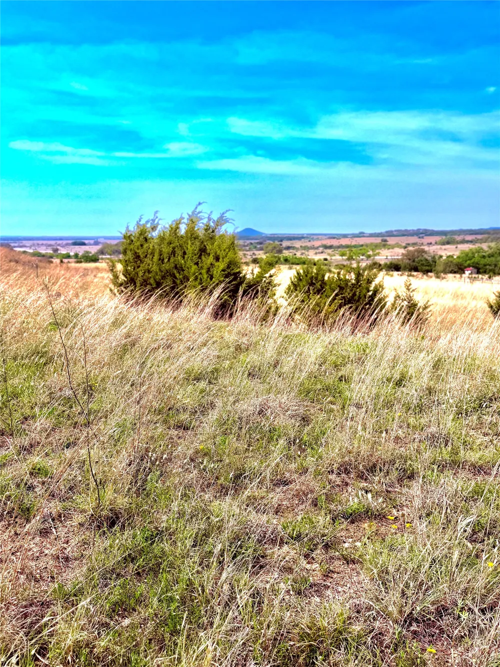 39 CR 330 Goldthwaite, TX 76844
