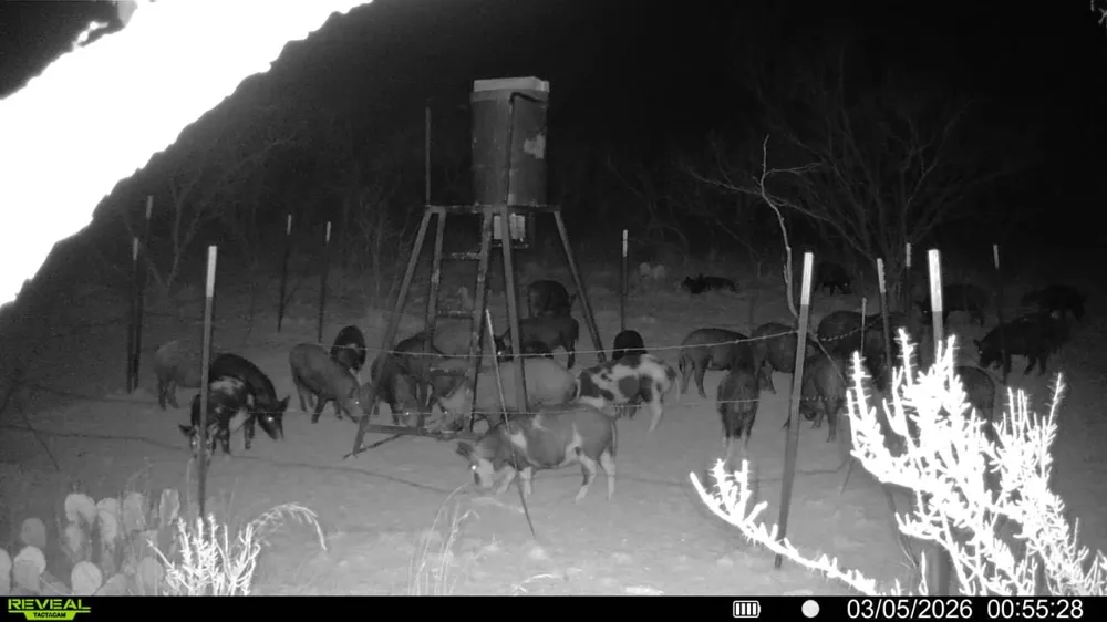 CR 133 Moran, TX 76464
