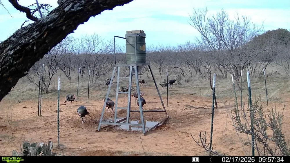 CR 133 Moran, TX 76464