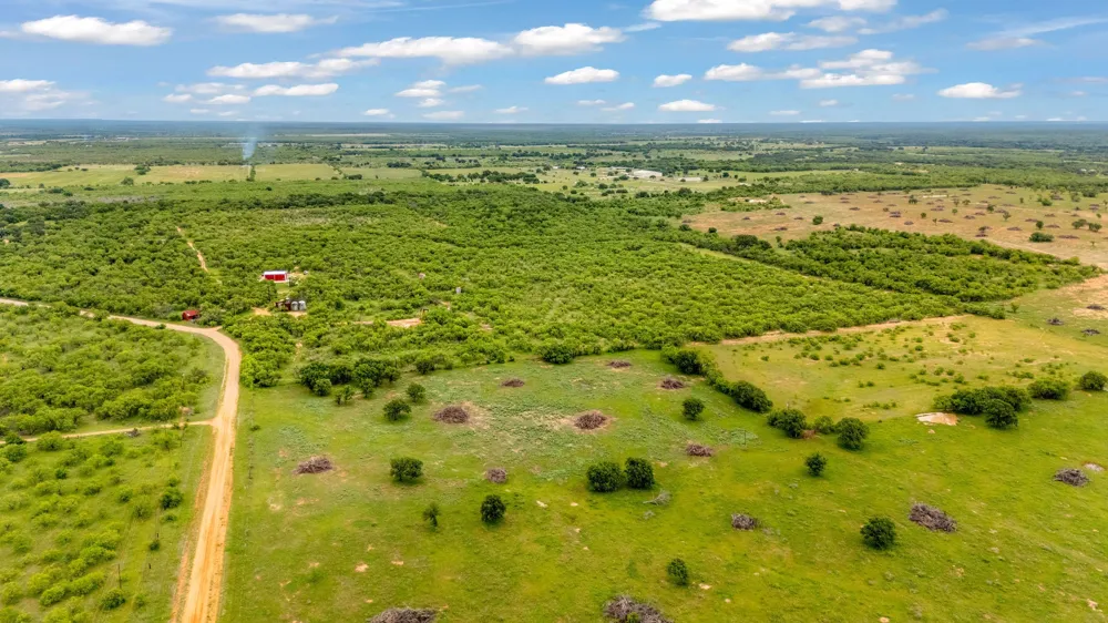 CR 133 Moran, TX 76464
