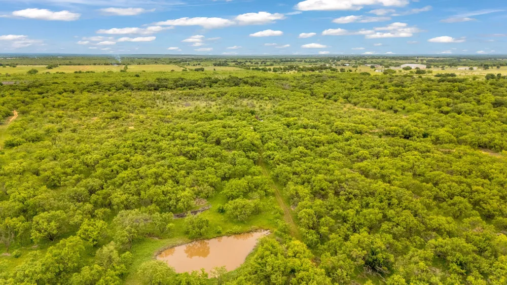 CR 133 Moran, TX 76464