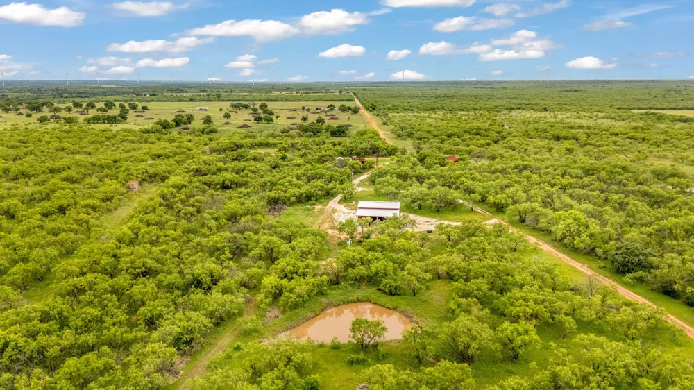 CR 133 Moran, TX 76464