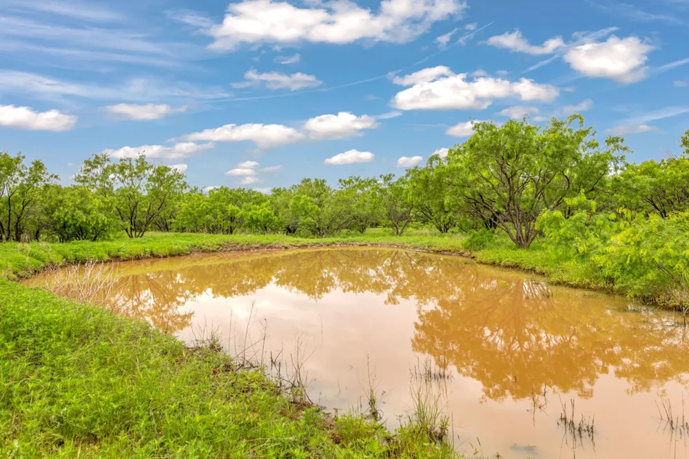 CR 133 Moran, TX 76464