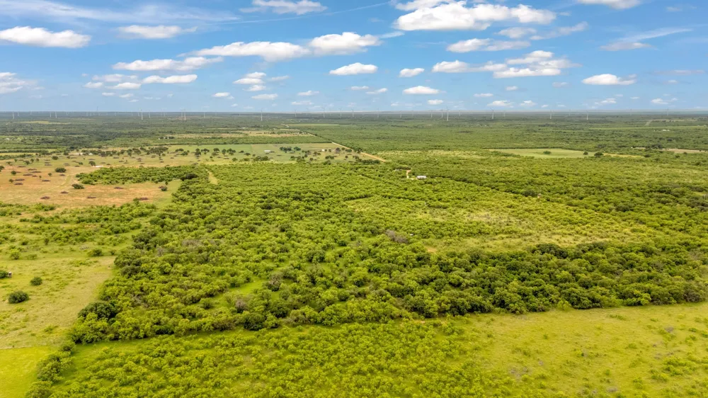 CR 133 Moran, TX 76464