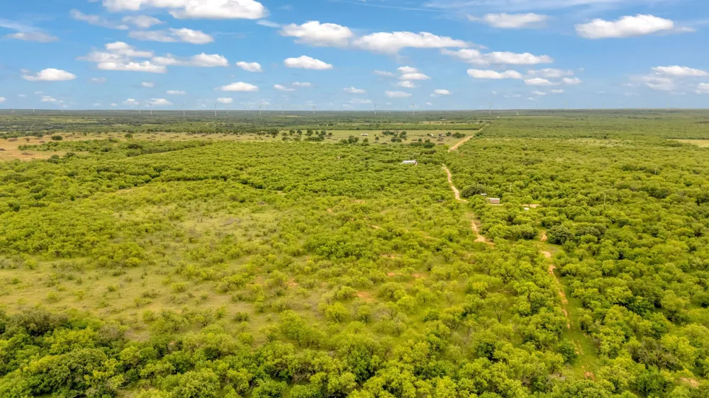 CR 133 Moran, TX 76464