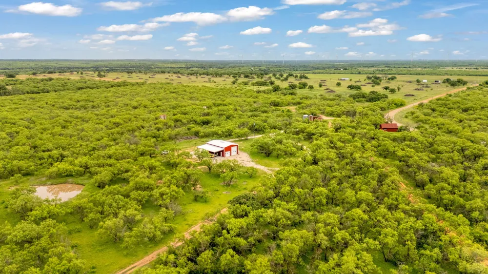 CR 133 Moran, TX 76464