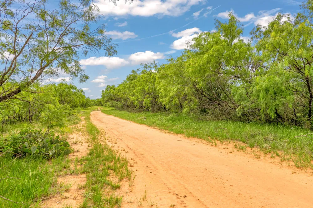 CR 133 Moran, TX 76464