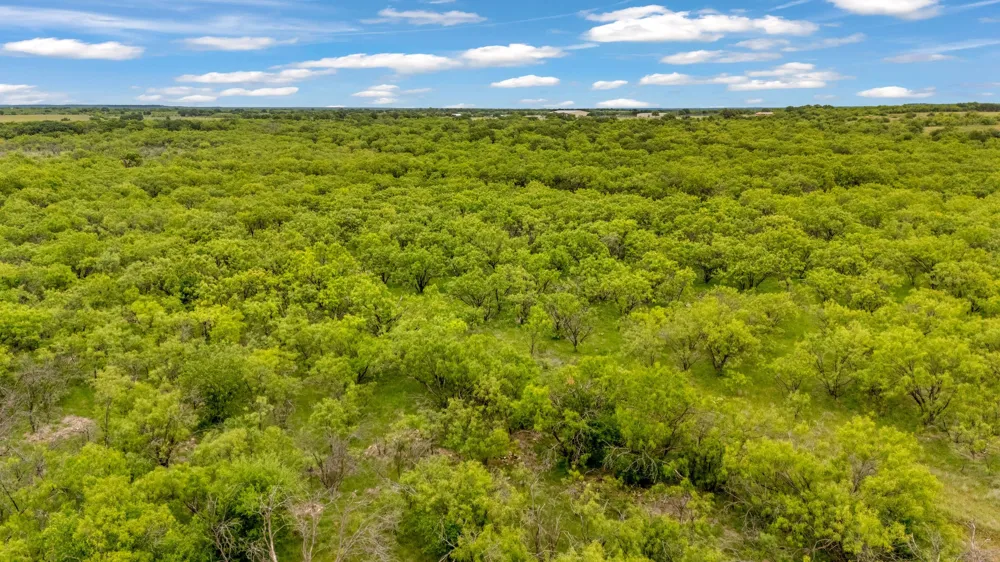CR 133 Moran, TX 76464