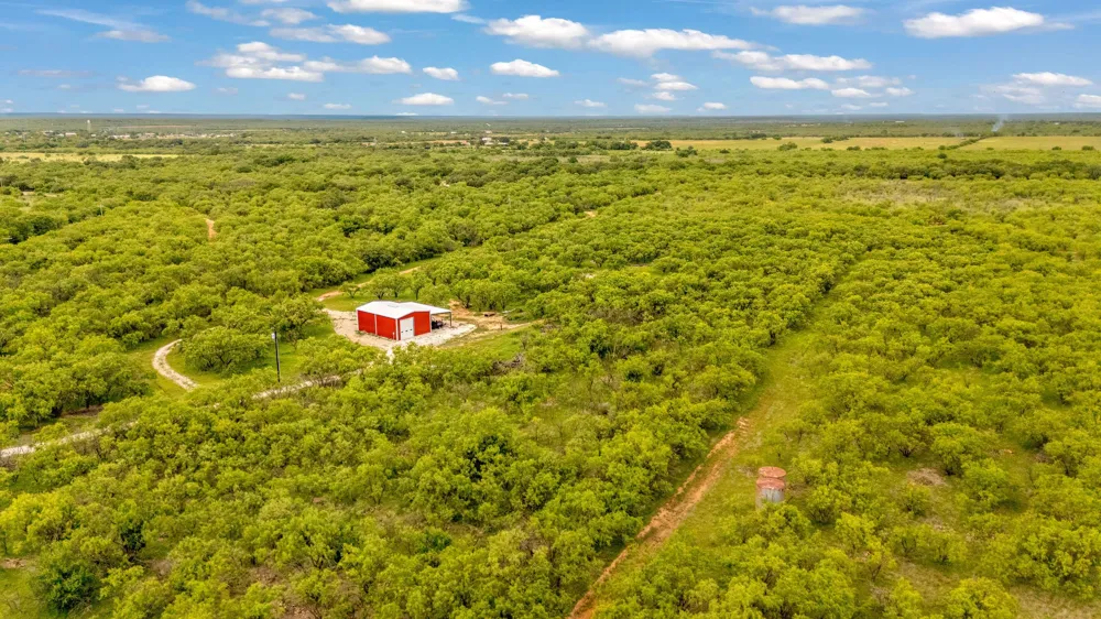 CR 133 Moran, TX 76464