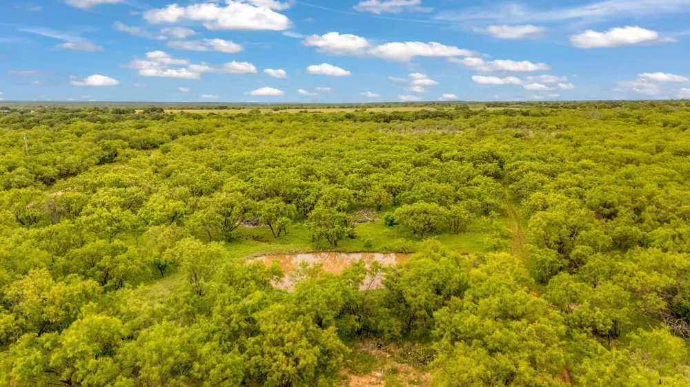 CR 133 Moran, TX 76464