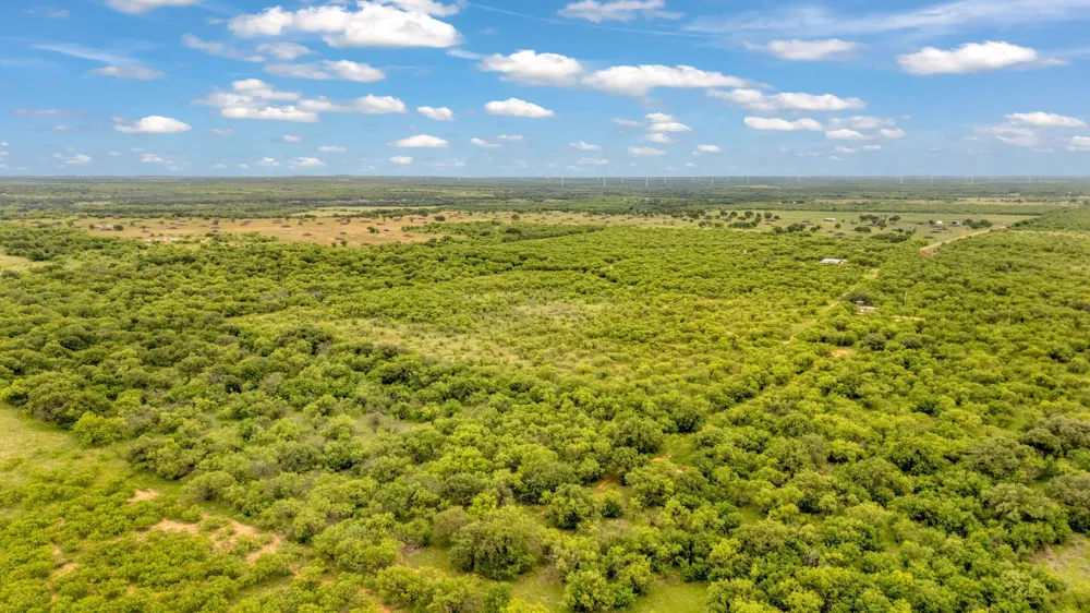 CR 133 Moran, TX 76464