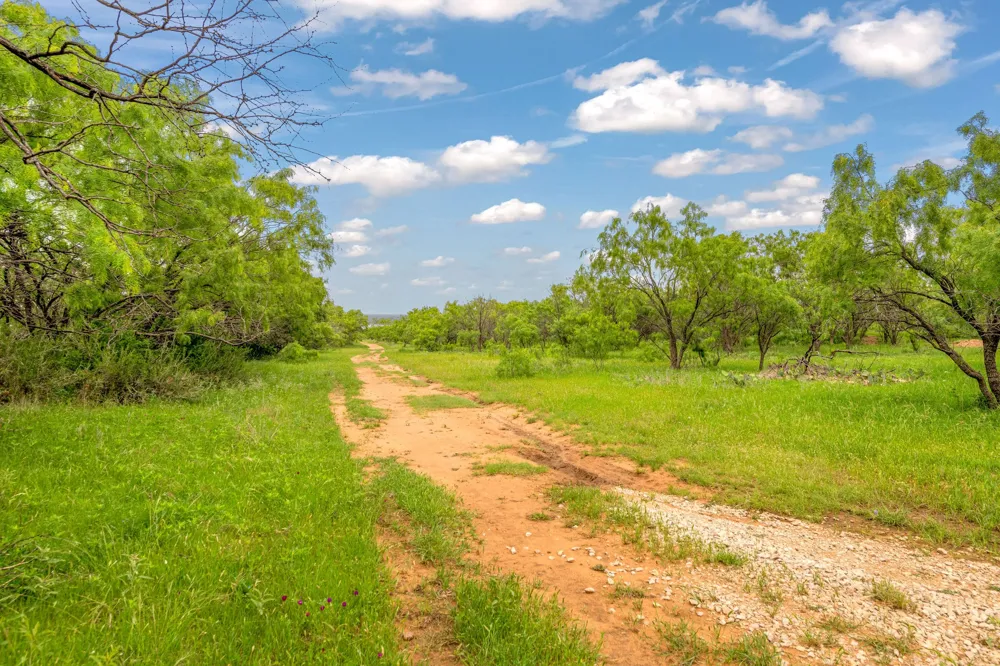 CR 133 Moran, TX 76464