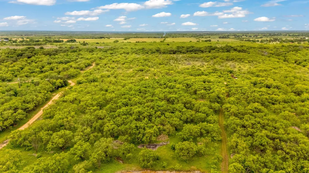 CR 133 Moran, TX 76464
