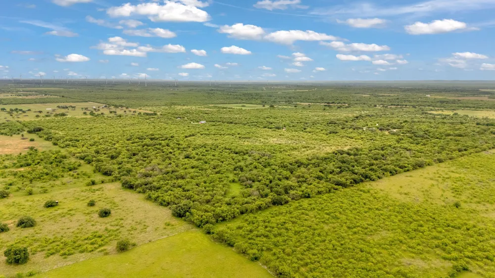 CR 133 Moran, TX 76464
