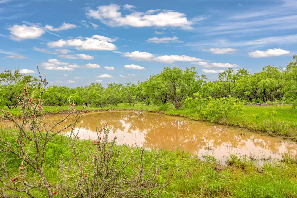 CR 133 Moran, TX 76464