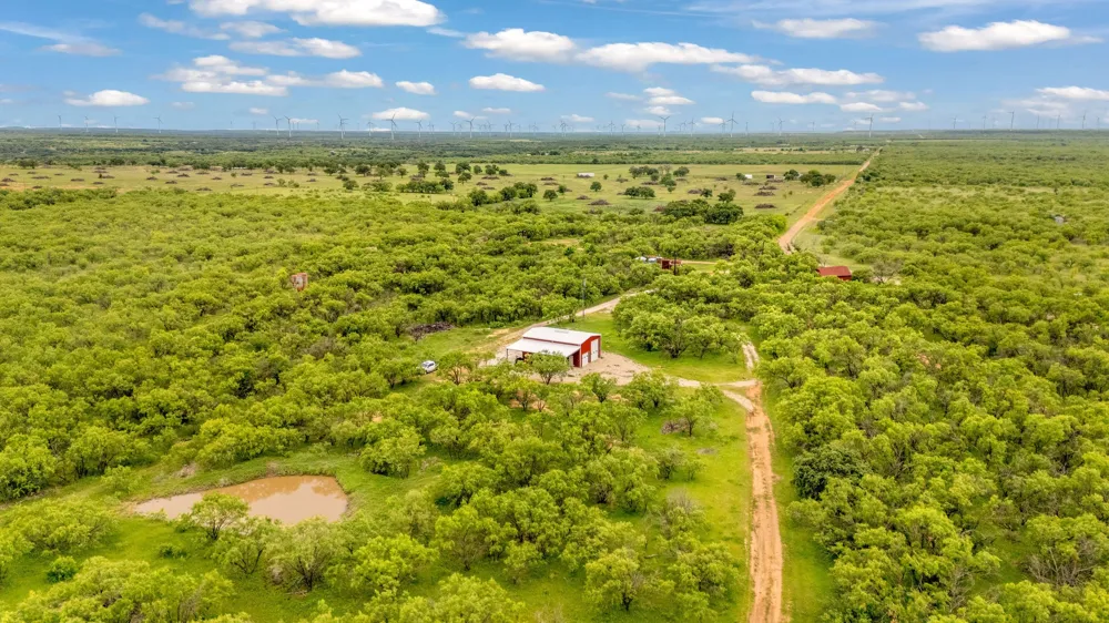 CR 133 Moran, TX 76464