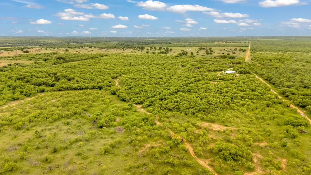 CR 133 Moran, TX 76464