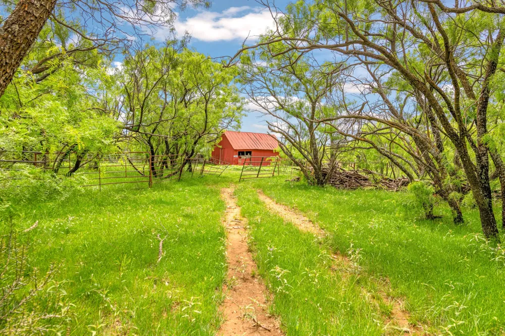 CR 133 Moran, TX 76464