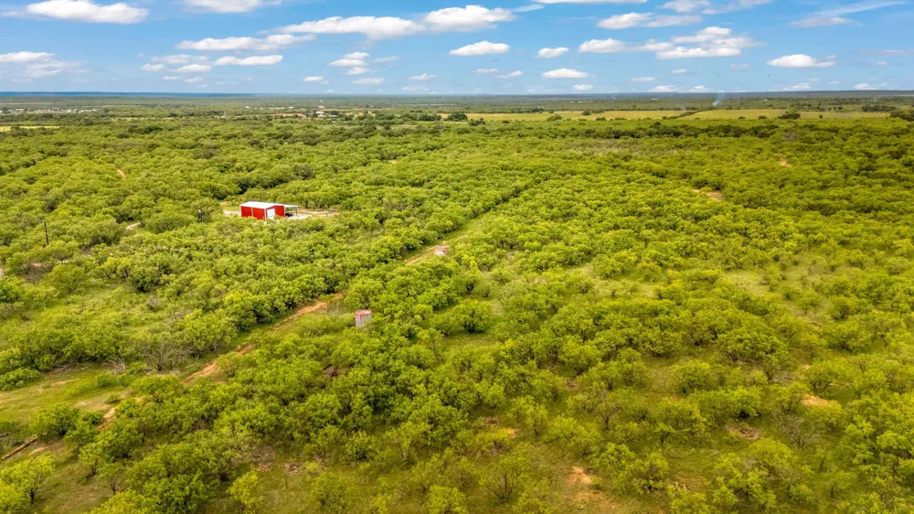 CR 133 Moran, TX 76464