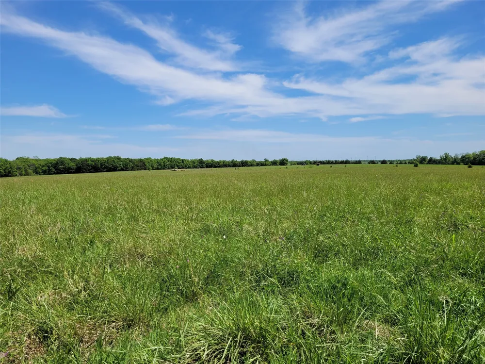 HIGHWAY 37 Clarksville, TX 75426