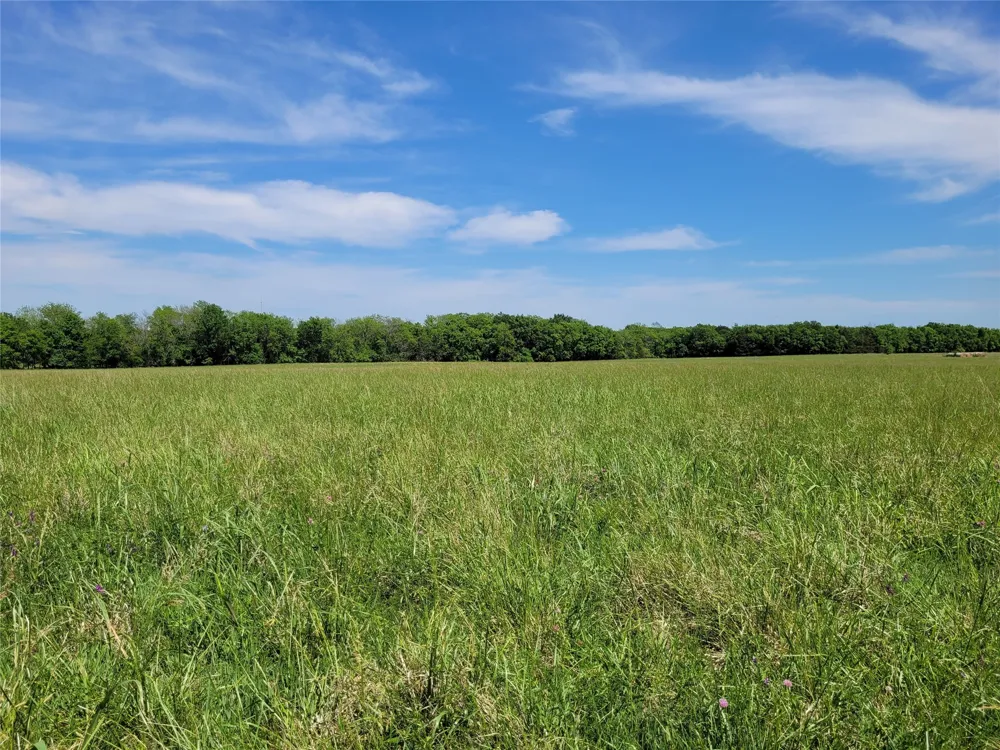 HIGHWAY 37 Clarksville, TX 75426