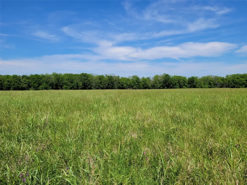 HIGHWAY 37 Clarksville, TX 75426