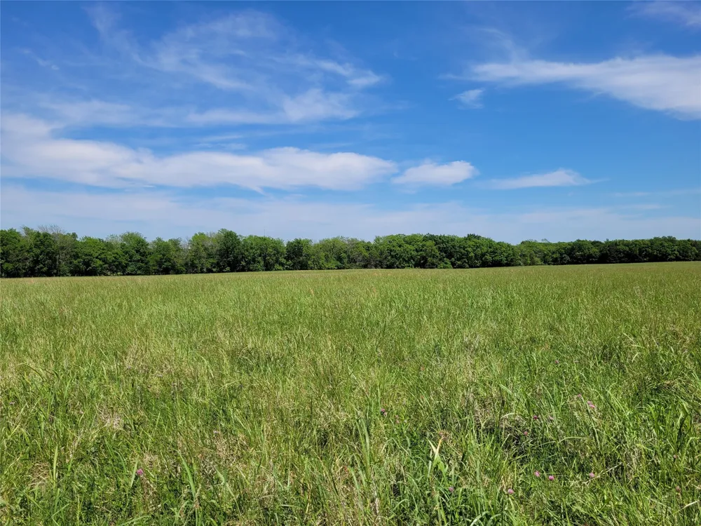 HIGHWAY 37 Clarksville, TX 75426
