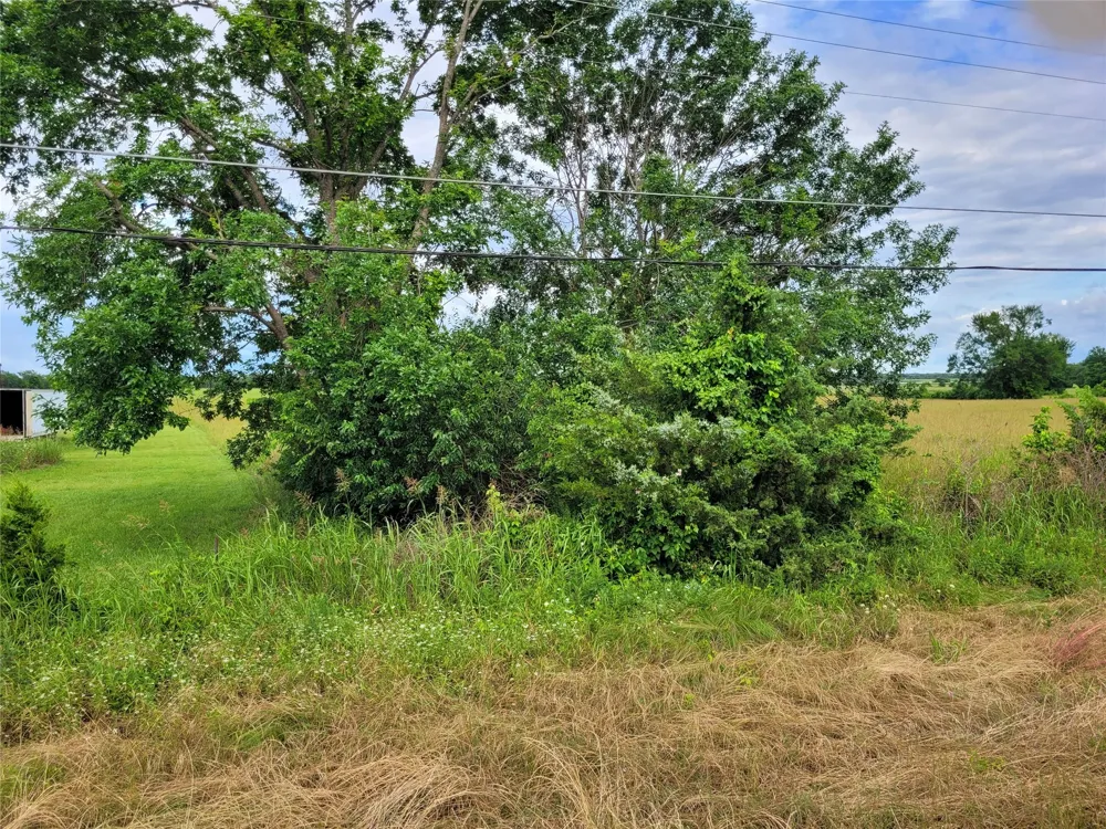 HIGHWAY 37 Clarksville, TX 75426