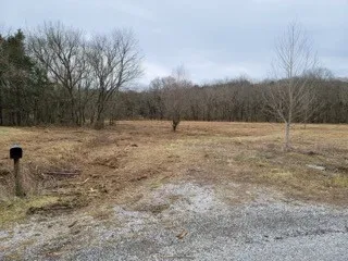 17 Winding Hills Ln Gordonsville, TN 38563